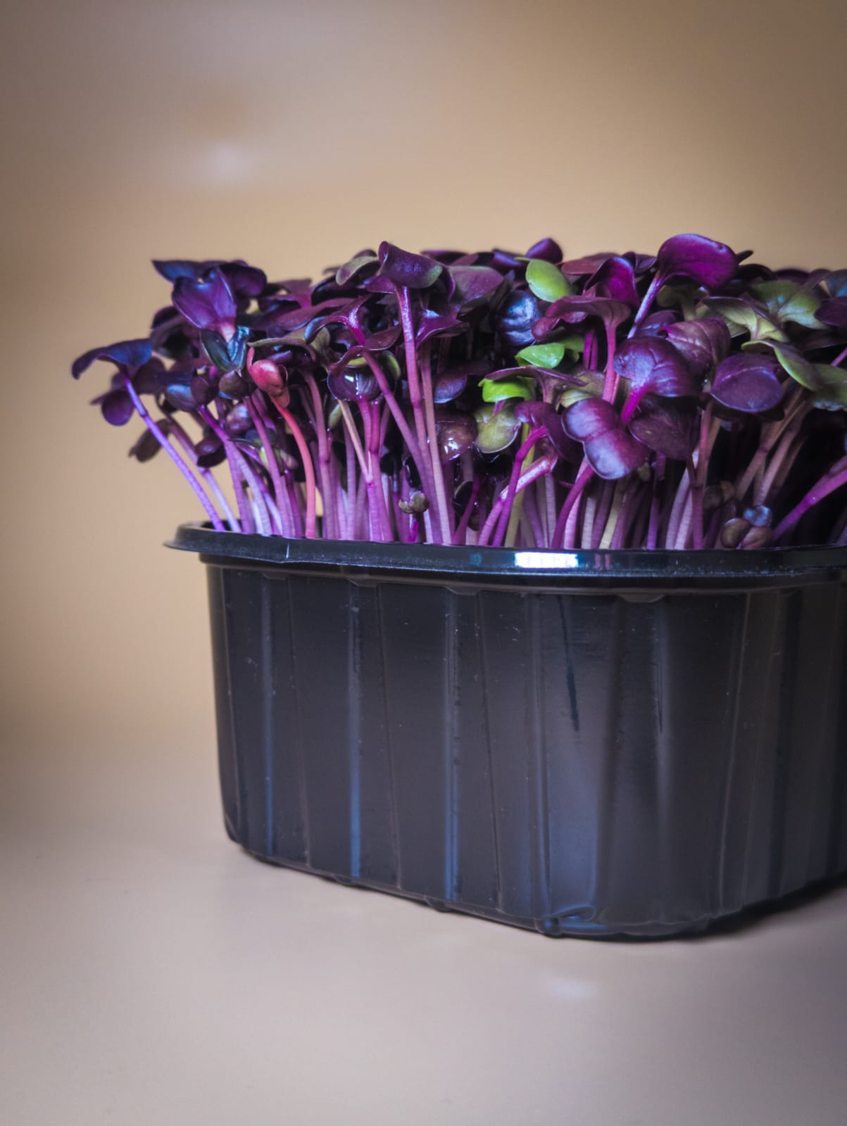 Редис Санго